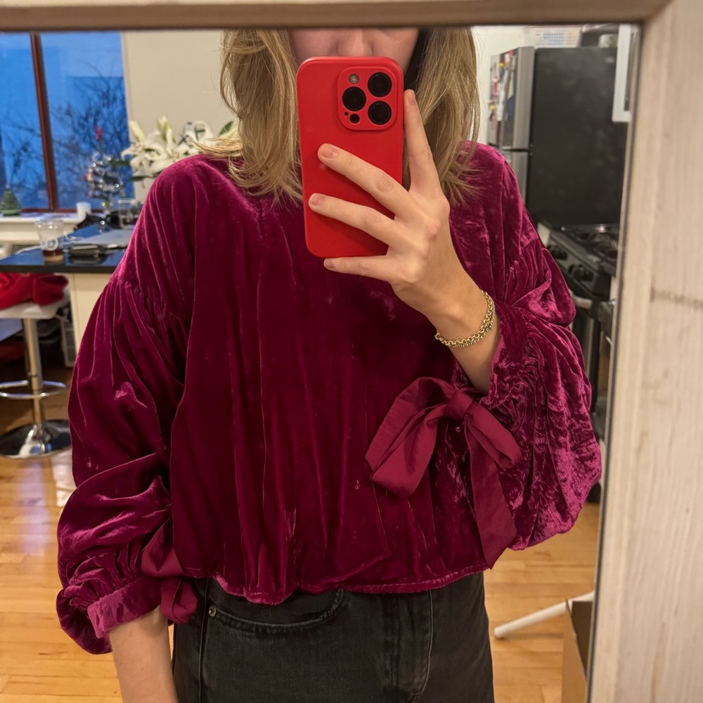Free People Pink Velvet Blouse